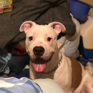 Meet your Posher, Efrain